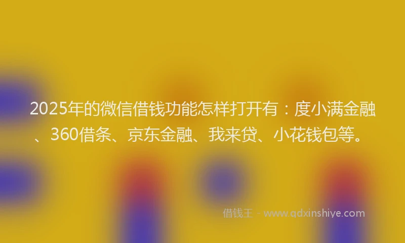 2025年的微信借钱功能怎样打开有：度小满金融、360借条、京东金融、我来贷、小花钱包等。