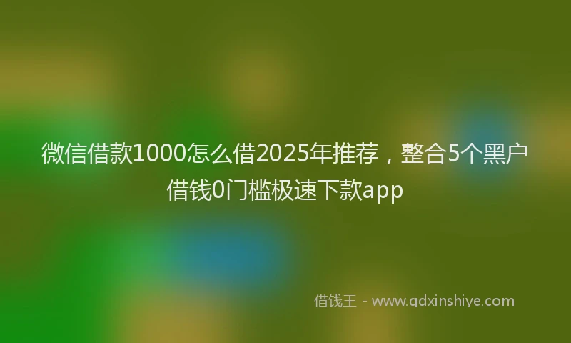 微信借款1000怎么借2025年推荐，整合5个黑户借钱0门槛极速下款app