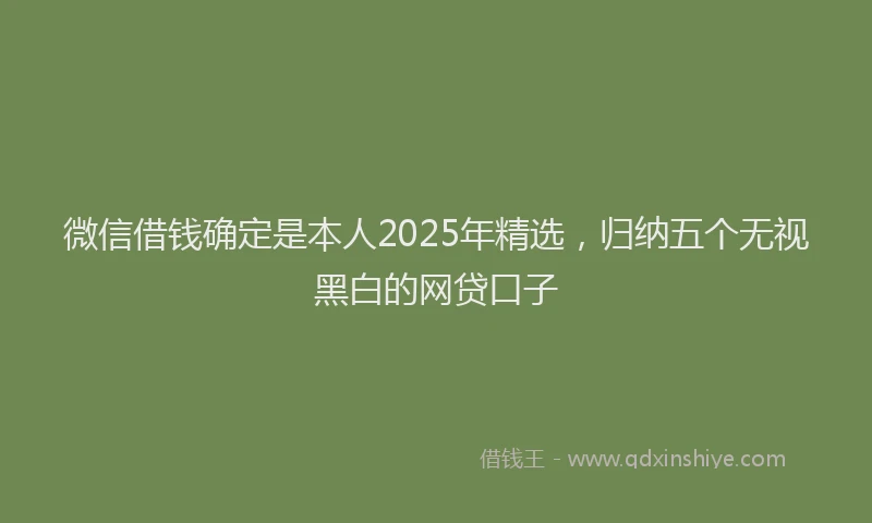 微信借钱确定是本人2025年精选，归纳五个无视黑白的网贷口子