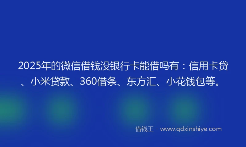 2025年的微信借钱没银行卡能借吗有：信用卡贷、小米贷款、360借条、东方汇、小花钱包等。