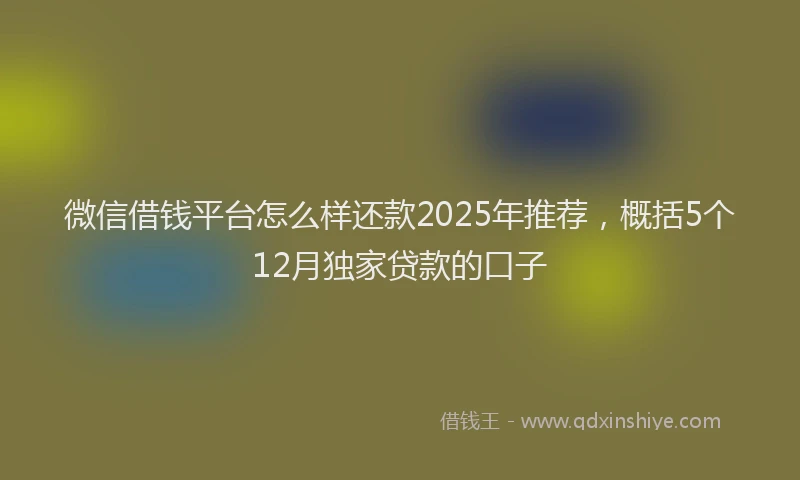 微信借钱平台怎么样还款2025年推荐，概括5个12月独家贷款的口子