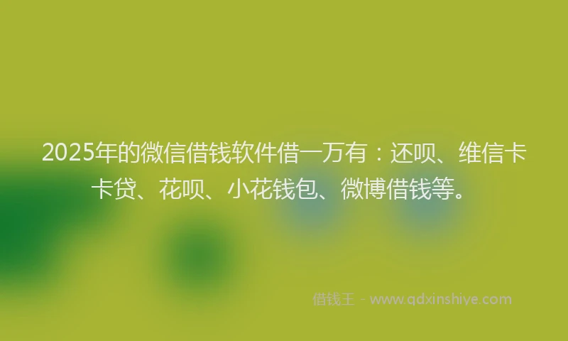 2025年的微信借钱软件借一万有：还呗、维信卡卡贷、花呗、小花钱包、微博借钱等。