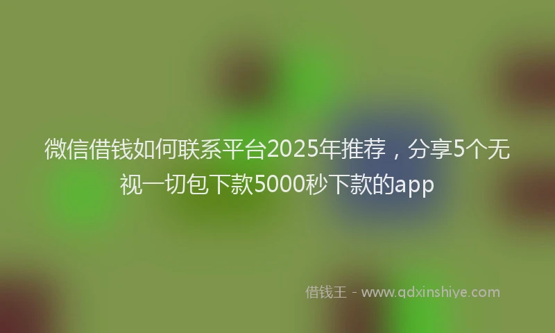 微信借钱如何联系平台2025年推荐，分享5个无视一切包下款5000秒下款的app