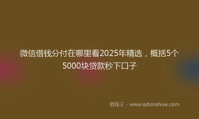 微信借钱分付在哪里看2025年精选，概括5个5000块贷款秒下口子