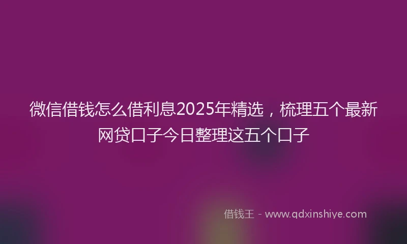 微信借钱怎么借利息2025年精选，梳理五个最新网贷口子今日整理这五个口子