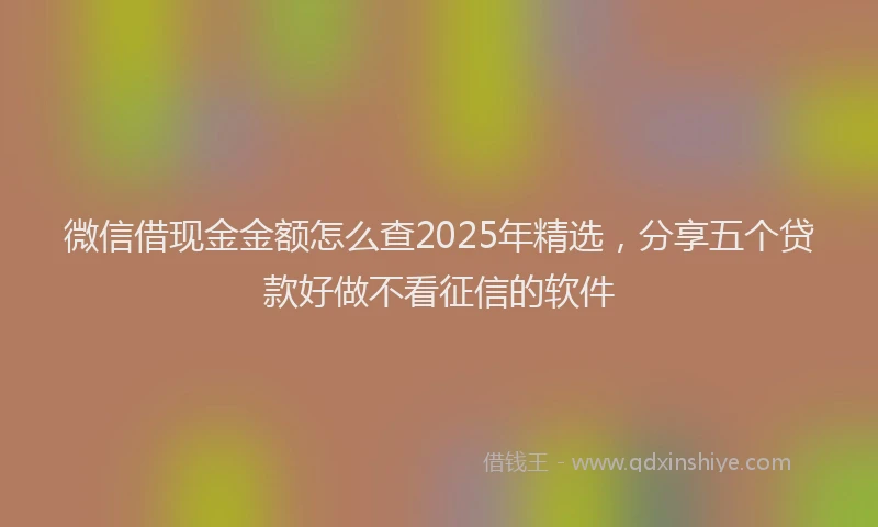 微信借现金金额怎么查2025年精选，分享五个贷款好做不看征信的软件
