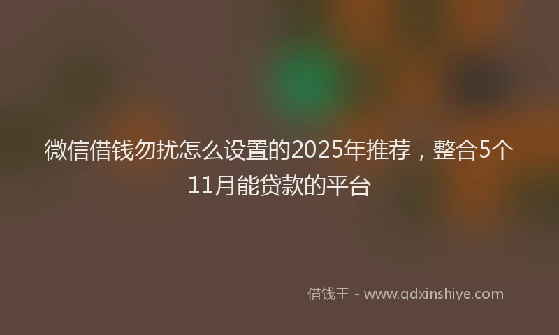 微信借钱勿扰怎么设置的2025年推荐，整合5个11月能贷款的平台