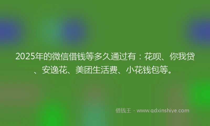 2025年的微信借钱等多久通过有：花呗、你我贷、安逸花、美团生活费、小花钱包等。