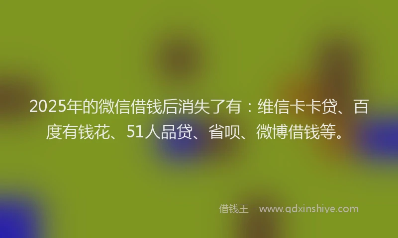 2025年的微信借钱后消失了有：维信卡卡贷、百度有钱花、51人品贷、省呗、微博借钱等。