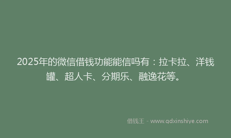 2025年的微信借钱功能能信吗有：拉卡拉、洋钱罐、超人卡、分期乐、融逸花等。