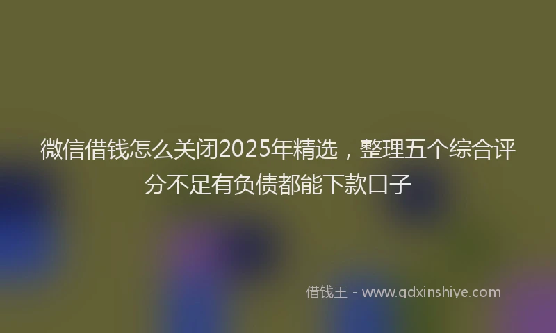 微信借钱怎么关闭2025年精选，整理五个综合评分不足有负债都能下款口子