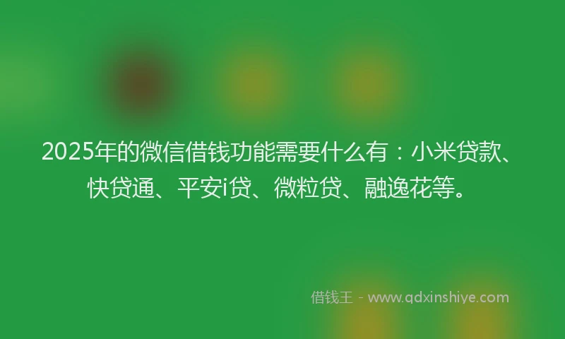 2025年的微信借钱功能需要什么有：小米贷款、快贷通、平安i贷、微粒贷、融逸花等。