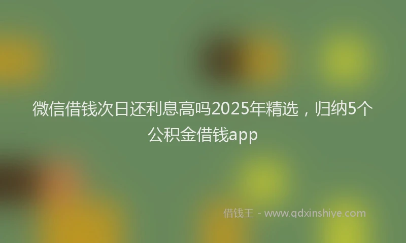 微信借钱次日还利息高吗2025年精选，归纳5个公积金借钱app