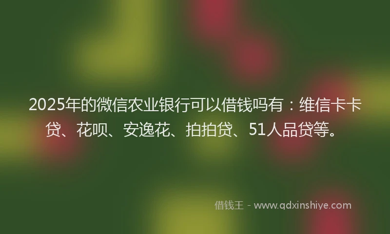 2025年的微信农业银行可以借钱吗有：维信卡卡贷、花呗、安逸花、拍拍贷、51人品贷等。