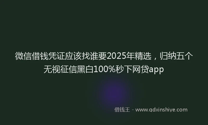 微信借钱凭证应该找谁要2025年精选，归纳五个无视征信黑白100%秒下网贷app