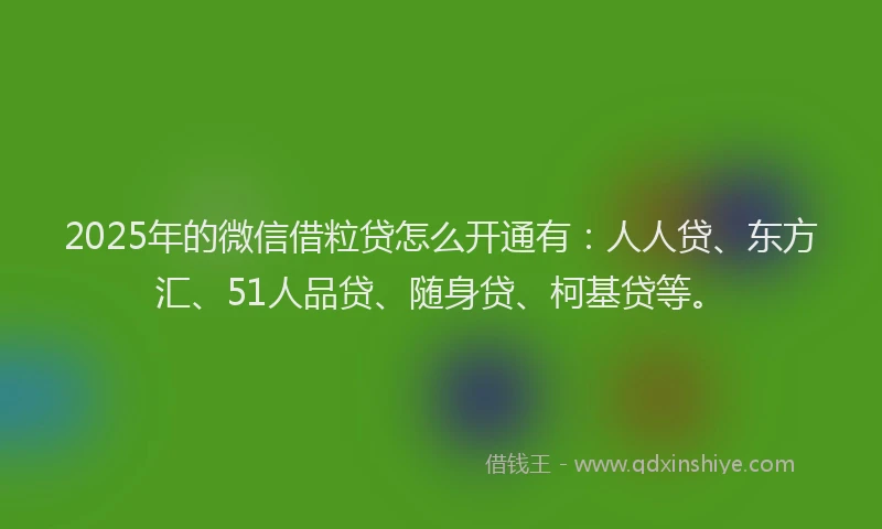 2025年的微信借粒贷怎么开通有：人人贷、东方汇、51人品贷、随身贷、柯基贷等。