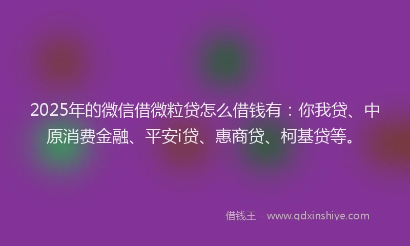 2025年的微信借微粒贷怎么借钱有：你我贷、中原消费金融、平安i贷、惠商贷、柯基贷等。