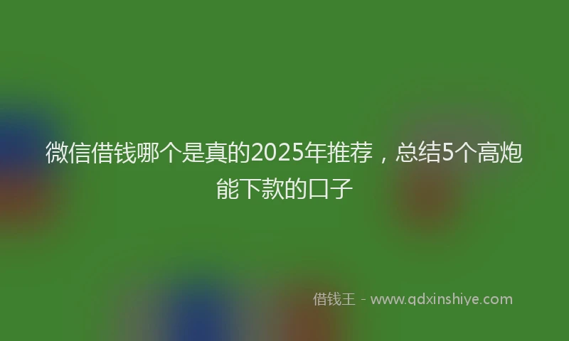 微信借钱哪个是真的2025年推荐，总结5个高炮能下款的口子