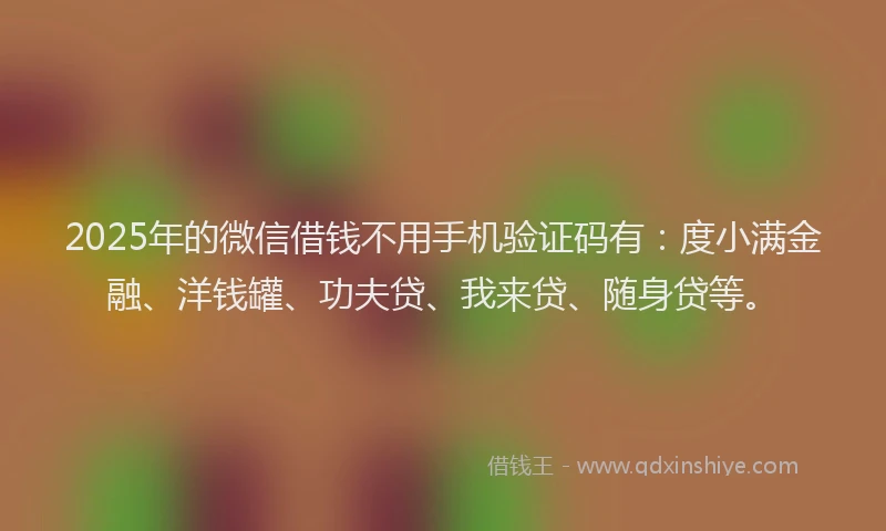 2025年的微信借钱不用手机验证码有：度小满金融、洋钱罐、功夫贷、我来贷、随身贷等。