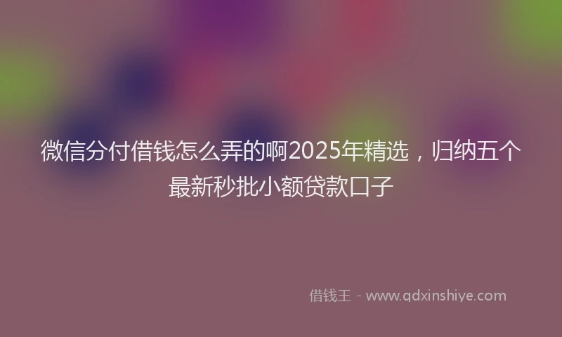 微信分付借钱怎么弄的啊2025年精选，归纳五个最新秒批小额贷款口子