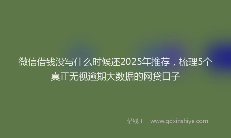 微信借钱没写什么时候还2025年推荐，梳理5个真正无视逾期大数据的网贷口子