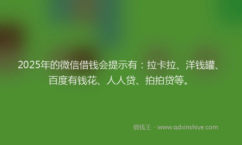 2025年的微信借钱会提示有：拉卡拉、洋钱罐、百度有钱花、人人贷、拍拍贷等。