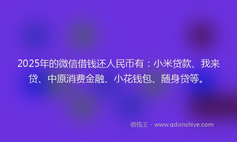 2025年的微信借钱还人民币有：小米贷款、我来贷、中原消费金融、小花钱包、随身贷等。