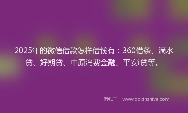 2025年的微信借款怎样借钱有：360借条、滴水贷、好期贷、中原消费金融、平安i贷等。