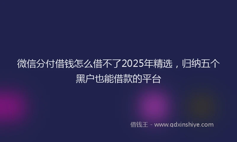 微信分付借钱怎么借不了2025年精选，归纳五个黑户也能借款的平台