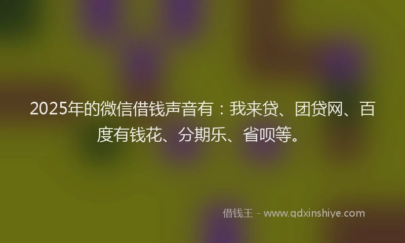 2025年的微信借钱声音有：我来贷、团贷网、百度有钱花、分期乐、省呗等。