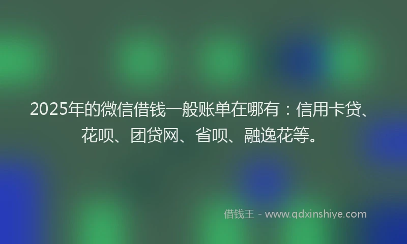 2025年的微信借钱一般账单在哪有：信用卡贷、花呗、团贷网、省呗、融逸花等。