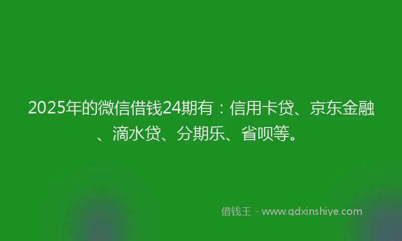 2025年的微信借钱24期有：信用卡贷、京东金融、滴水贷、分期乐、省呗等。