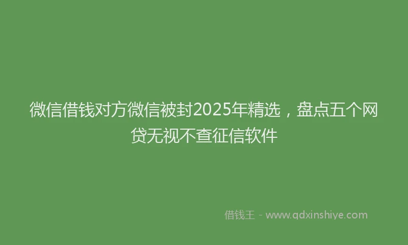 微信借钱对方微信被封2025年精选，盘点五个网贷无视不查征信软件