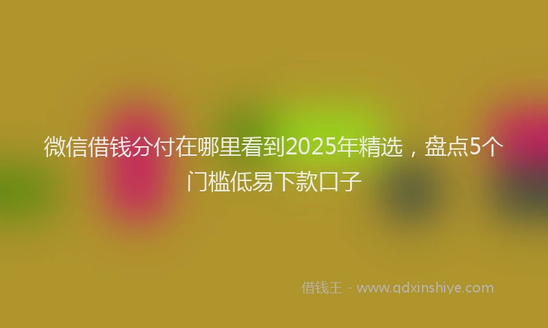 微信借钱分付在哪里看到2025年精选，盘点5个门槛低易下款口子