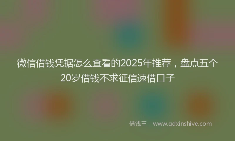 微信借钱凭据怎么查看的2025年推荐，盘点五个20岁借钱不求征信速借口子
