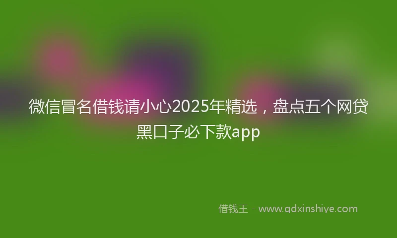 微信冒名借钱请小心2025年精选，盘点五个网贷黑口子必下款app