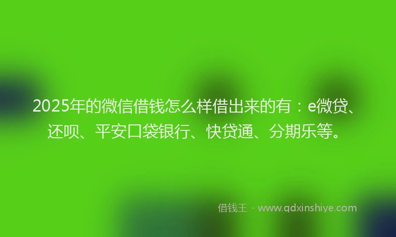 2025年的微信借钱怎么样借出来的有：e微贷、还呗、平安口袋银行、快贷通、分期乐等。