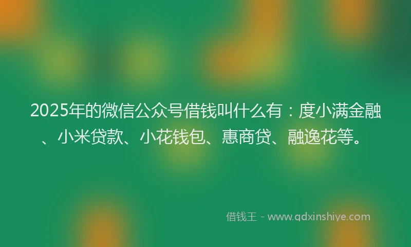 2025年的微信公众号借钱叫什么有：度小满金融、小米贷款、小花钱包、惠商贷、融逸花等。