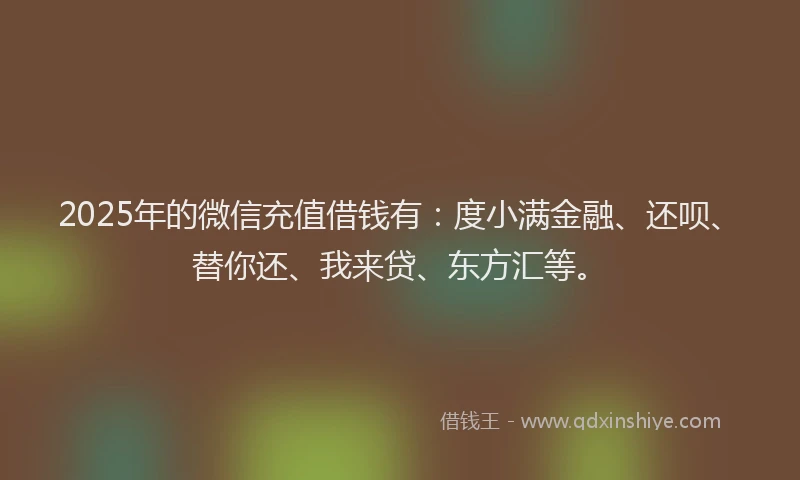 2025年的微信充值借钱有：度小满金融、还呗、替你还、我来贷、东方汇等。