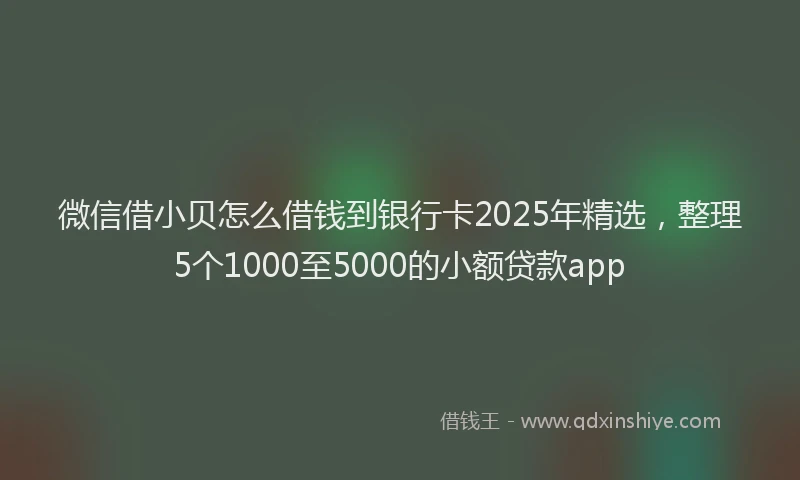 微信借小贝怎么借钱到银行卡2025年精选，整理5个1000至5000的小额贷款app