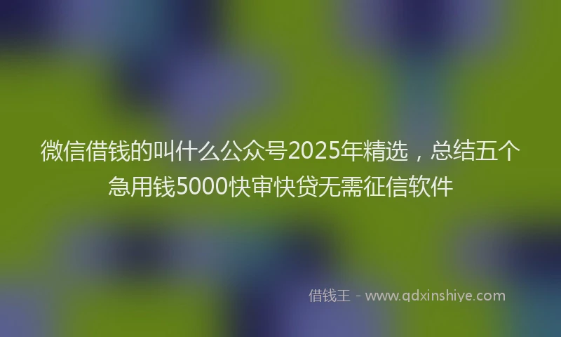 微信借钱的叫什么公众号2025年精选，总结五个急用钱5000快审快贷无需征信软件