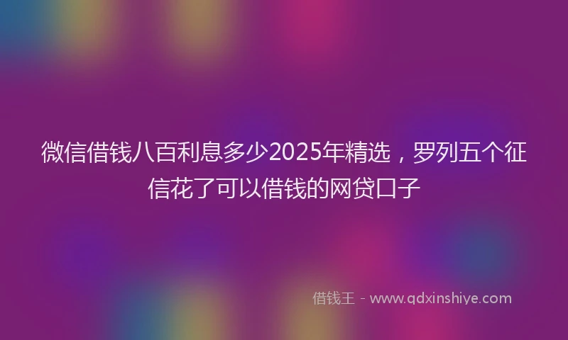 微信借钱八百利息多少2025年精选，罗列五个征信花了可以借钱的网贷口子