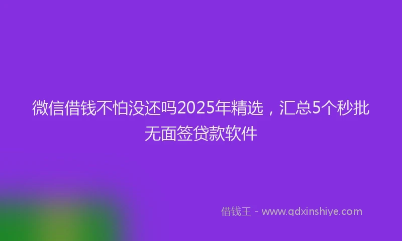 微信借钱不怕没还吗2025年精选，汇总5个秒批无面签贷款软件