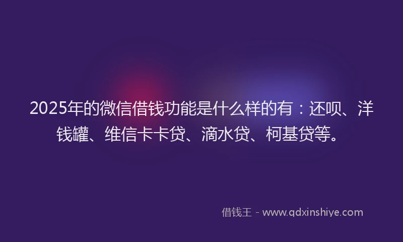 2025年的微信借钱功能是什么样的有：还呗、洋钱罐、维信卡卡贷、滴水贷、柯基贷等。