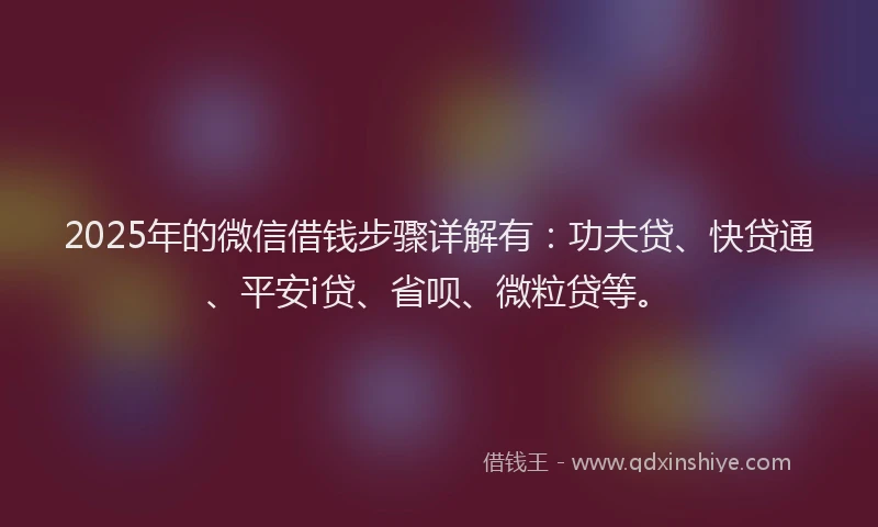 2025年的微信借钱步骤详解有：功夫贷、快贷通、平安i贷、省呗、微粒贷等。