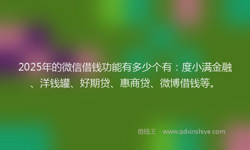 2025年的微信借钱功能有多少个有：度小满金融、洋钱罐、好期贷、惠商贷、微博借钱等。