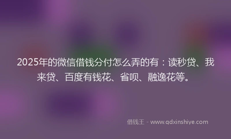 2025年的微信借钱分付怎么弄的有：读秒贷、我来贷、百度有钱花、省呗、融逸花等。