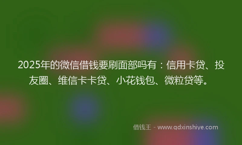 2025年的微信借钱要刷面部吗有：信用卡贷、投友圈、维信卡卡贷、小花钱包、微粒贷等。