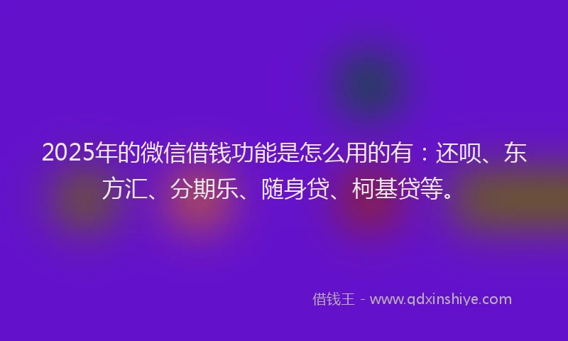 2025年的微信借钱功能是怎么用的有：还呗、东方汇、分期乐、随身贷、柯基贷等。