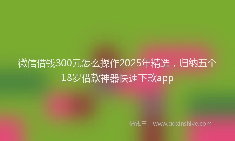 微信借钱300元怎么操作2025年精选，归纳五个18岁借款神器快速下款app